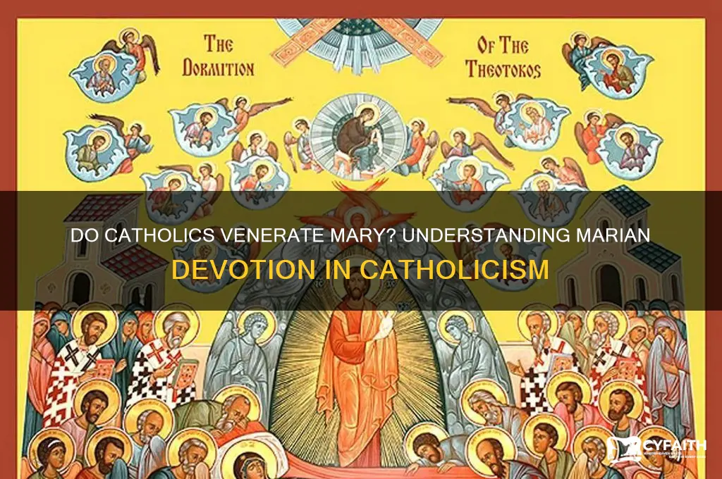 do catholics venerate mary