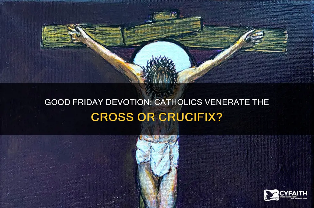 do catholics venerate the cross or crucifix on good friday