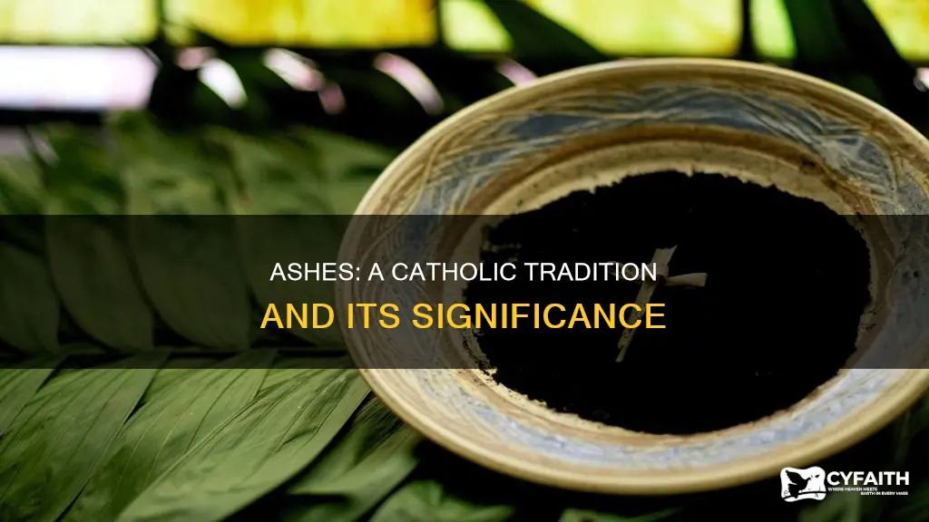 do catholics wear ashes all day