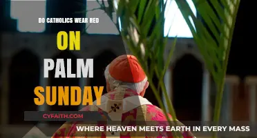Why Do Catholics Wear Red on Palm Sunday?