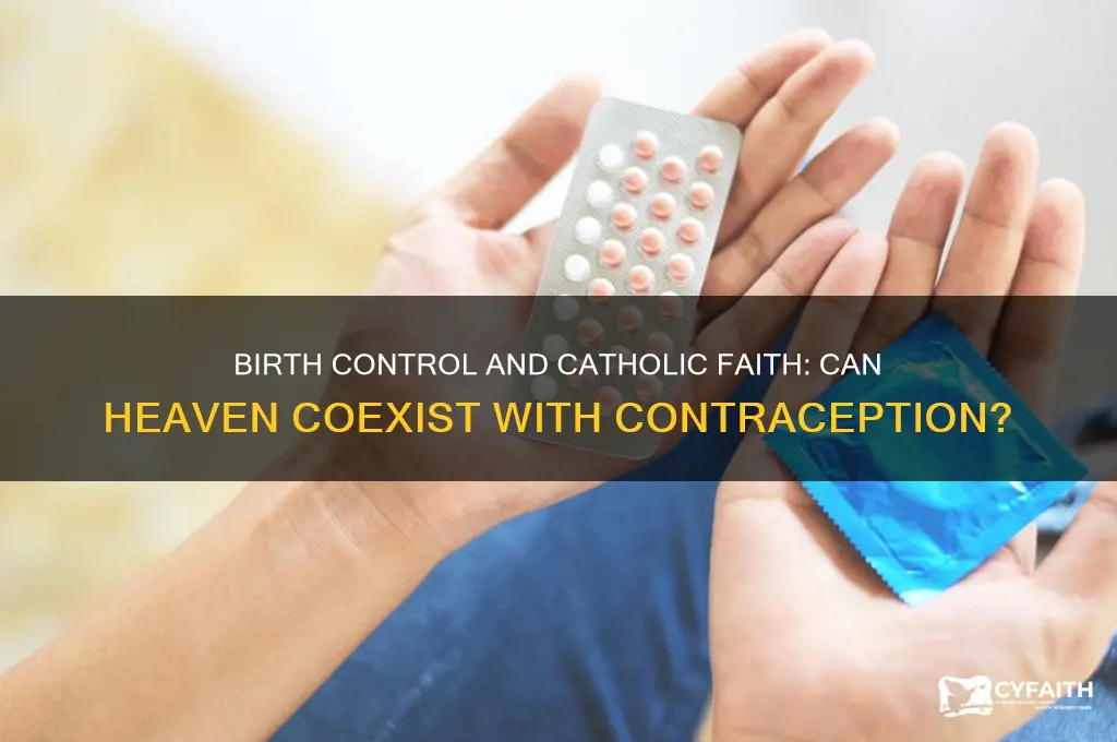 do catholics who use birth control go to heaven