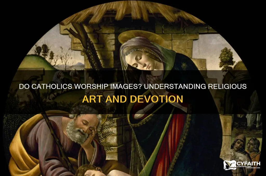 do catholics worship image