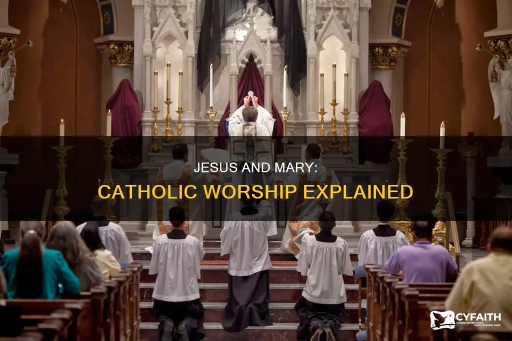 do catholics worship jesus or mary