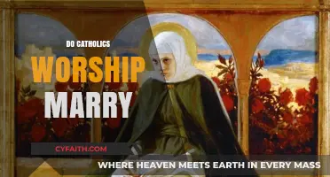 Do Catholics Worship Mary? Debunking Misconceptions About Marian Devotion