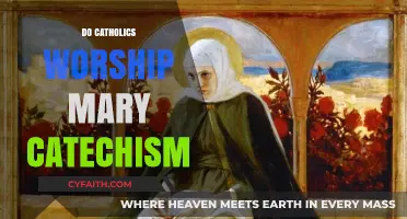 Do Catholics Worship Mary? Exploring the Catechism's Teachings