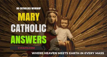 Mary Worship: Catholic Answers to Common Questions