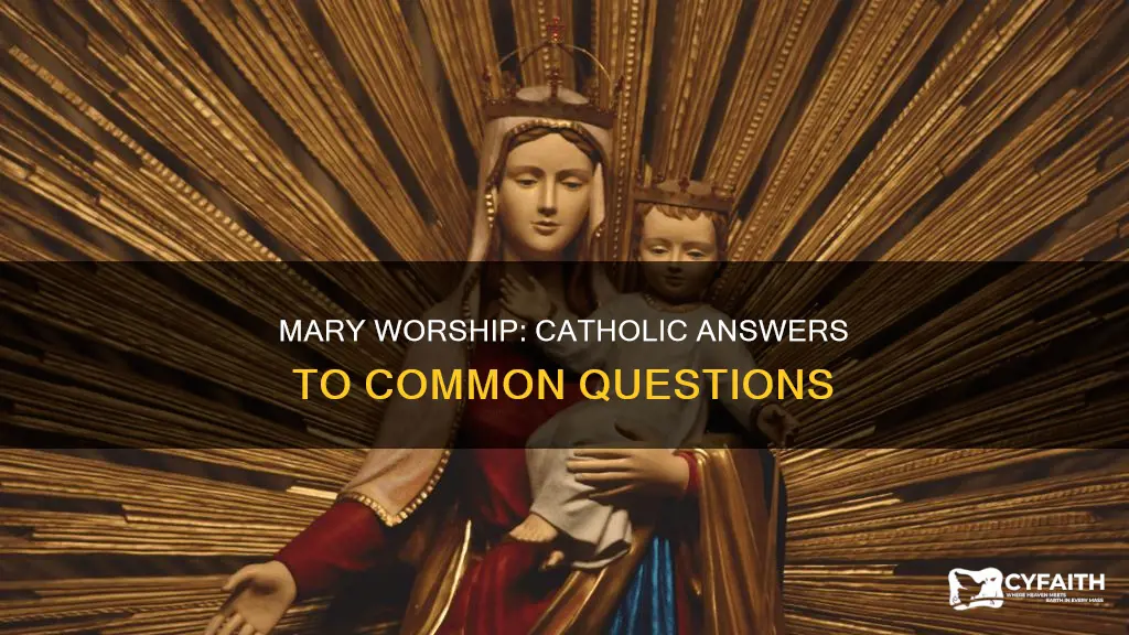 do catholics worship mary catholic answers