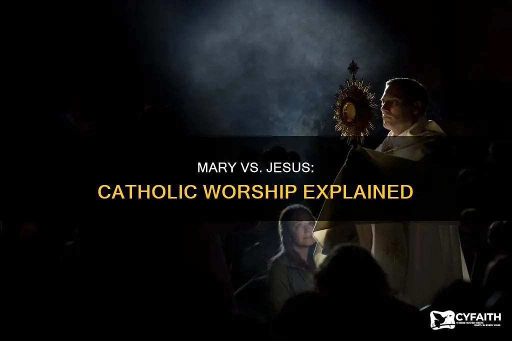 do catholics worship mary more than jesus