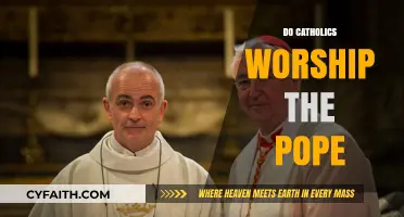 Do Catholics Worship the Pope? Understanding Papal Veneration and Respect