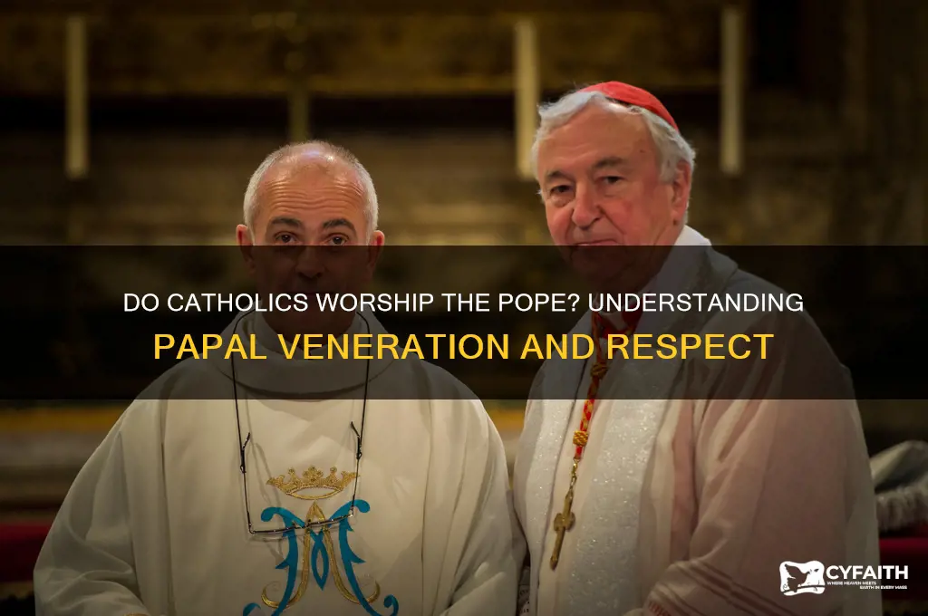 do catholics worship the pope