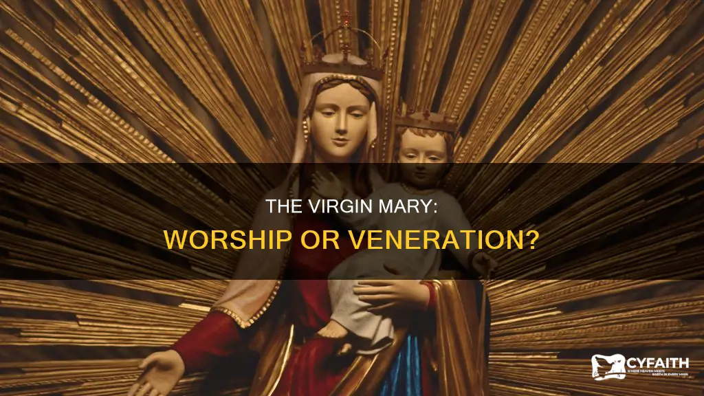 do catholics worship the virgin mary