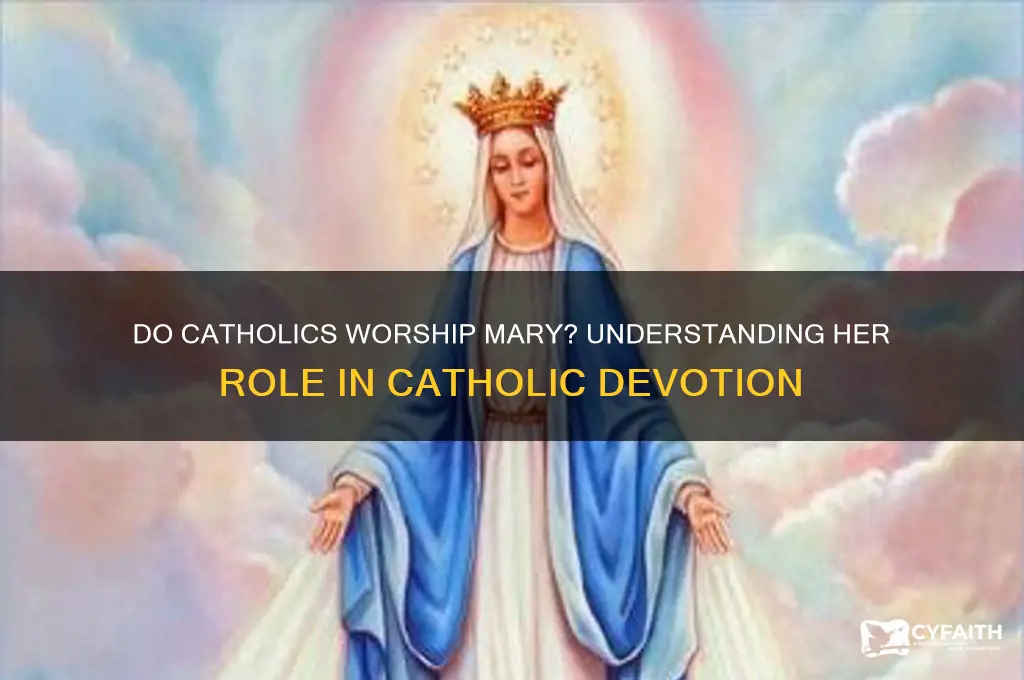 do catholics worship virgin mary