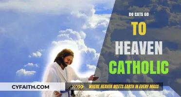 Do Cats Go to Heaven in Catholicism?