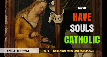Do Cats Have Souls? Catholic Perspectives on Pets and Spirituality