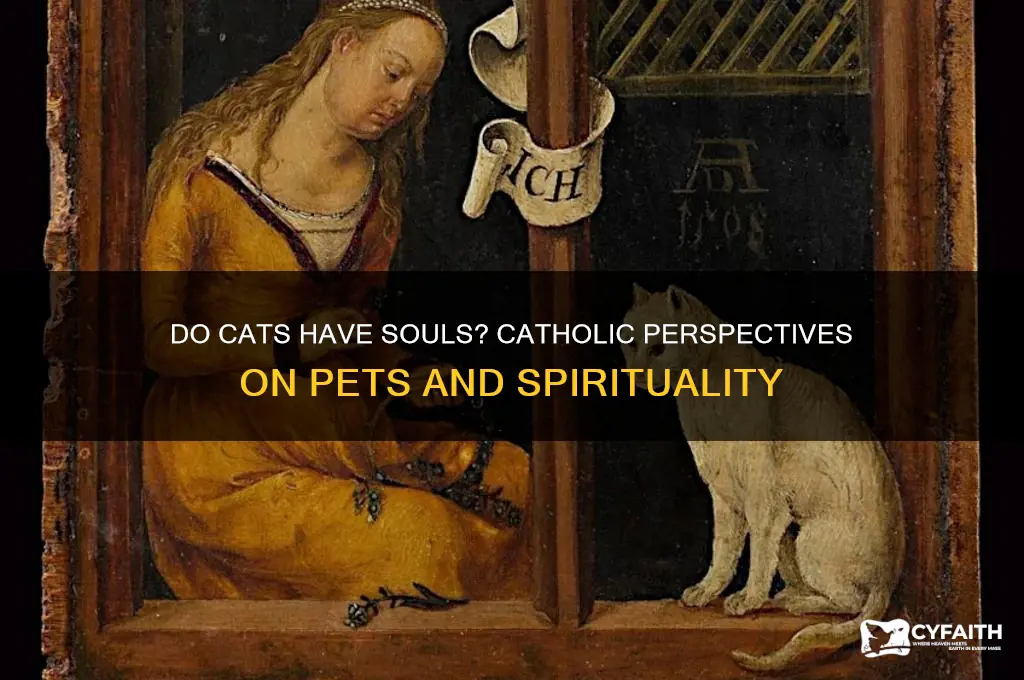 do cats have souls catholic