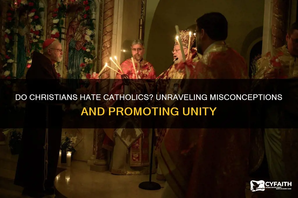 do chrisrians hate catholic