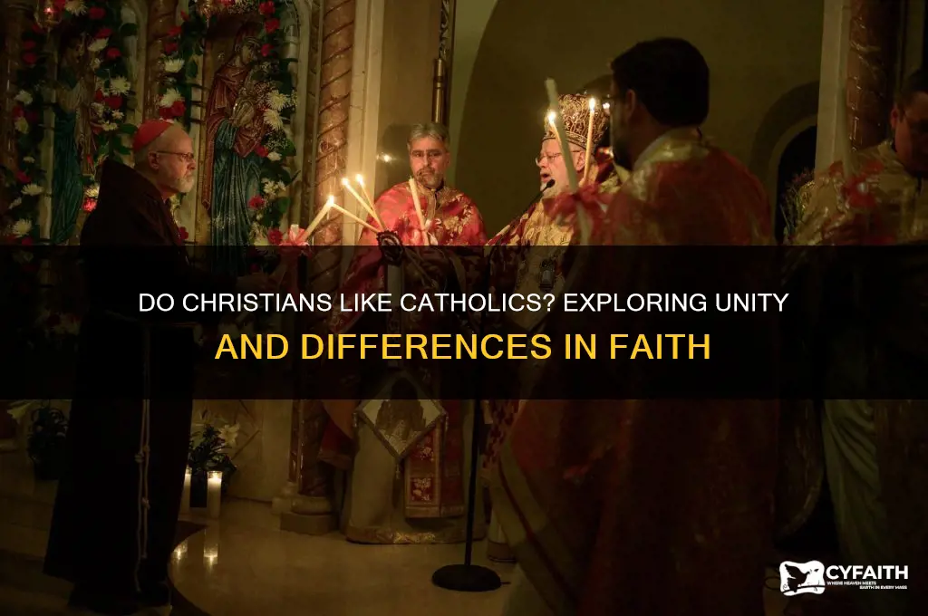 do christians lile catholics