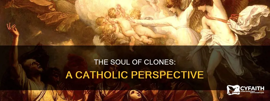 do clones have a soul catholic