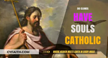Do Clones Have Souls? Catholic Perspectives on Human Replication