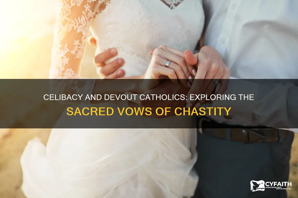 do devout catholics stay celibate