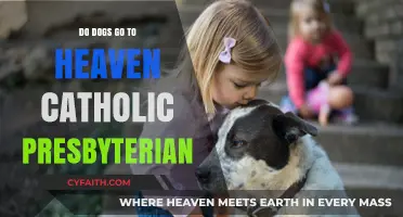 Where Do Dogs Go? Catholic & Presbyterian Views