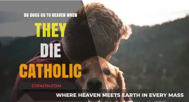 Do Dogs Go to Heaven in Catholic Beliefs After Death?