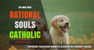 The Catholic View on Dogs' Souls