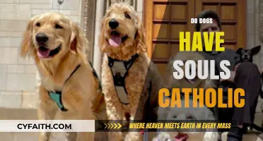 Do Dogs Have Souls? Catholic Perspectives on Pets and Eternity