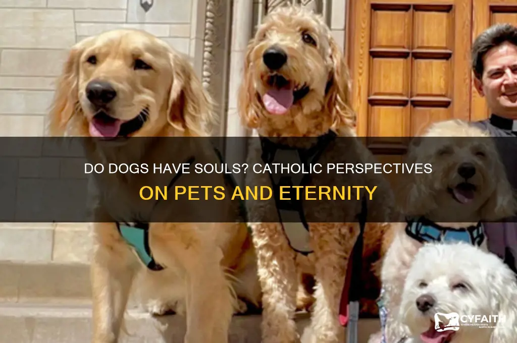 do dogs have souls catholic