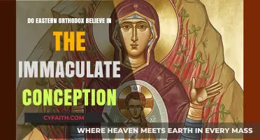 Eastern Orthodox View on Immaculate Conception: Beliefs and Differences