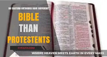Eastern Orthodox vs. Protestant Bibles: Key Differences Explained