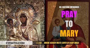 Eastern Orthodox Devotion to Mary: Prayer or Veneration?