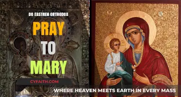 Eastern Orthodox Devotion to Mary: Prayer or Veneration?