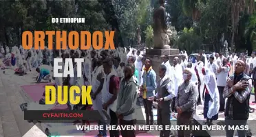 Ethiopian Orthodox Dietary Practices: Do They Include Duck Consumption?