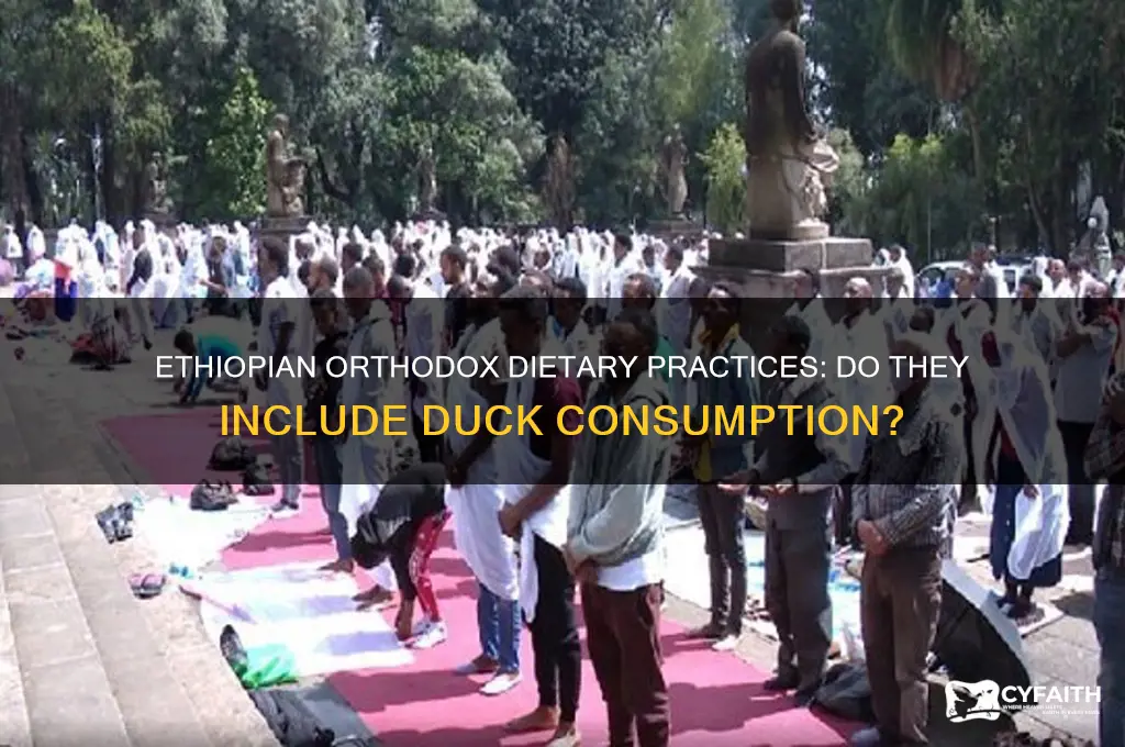do ethiopian orthodox eat duck