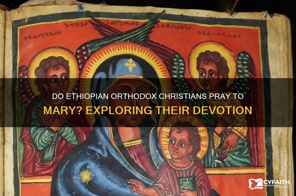 do ethiopian orthodox pray to mary