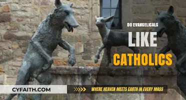 Evangelicals and Catholics: Exploring Mutual Respect and Theological Differences
