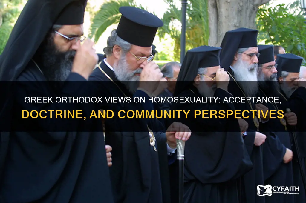 do greek orthodox accept homosexuality