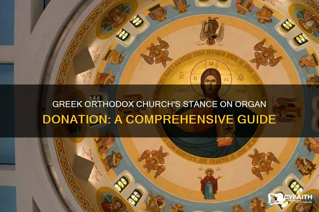 do greek orthodox allow organ donations