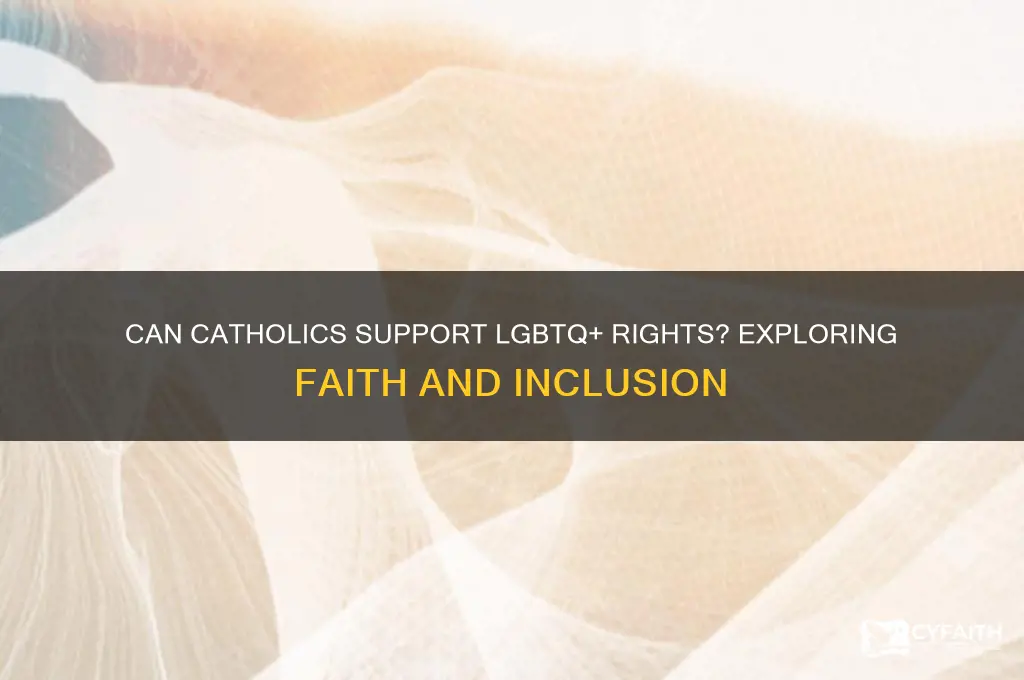 do i have be anti gay to be catholic