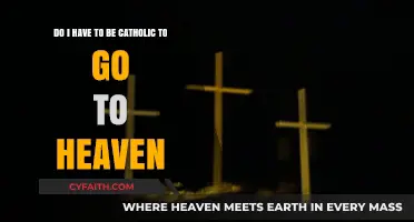 Heaven's Gates: Exploring Faith Beyond Catholic Doctrine for Salvation
