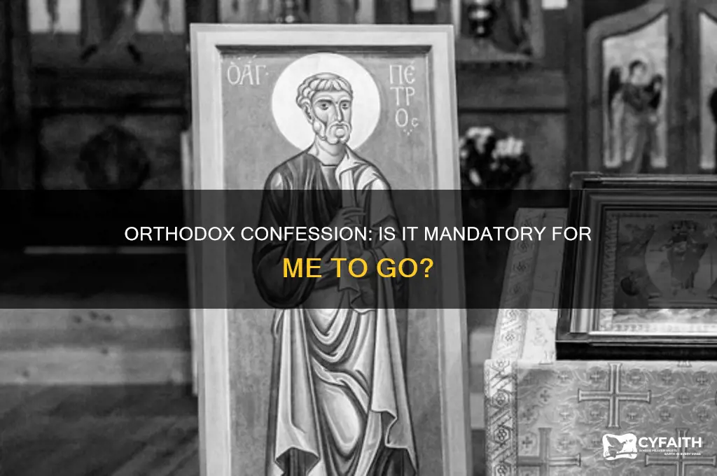 do i have to go to confession as orthodox