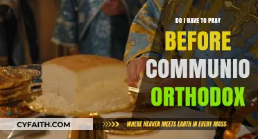 Orthodox Communion Preparation: Must You Pray Before Receiving the Eucharist?
