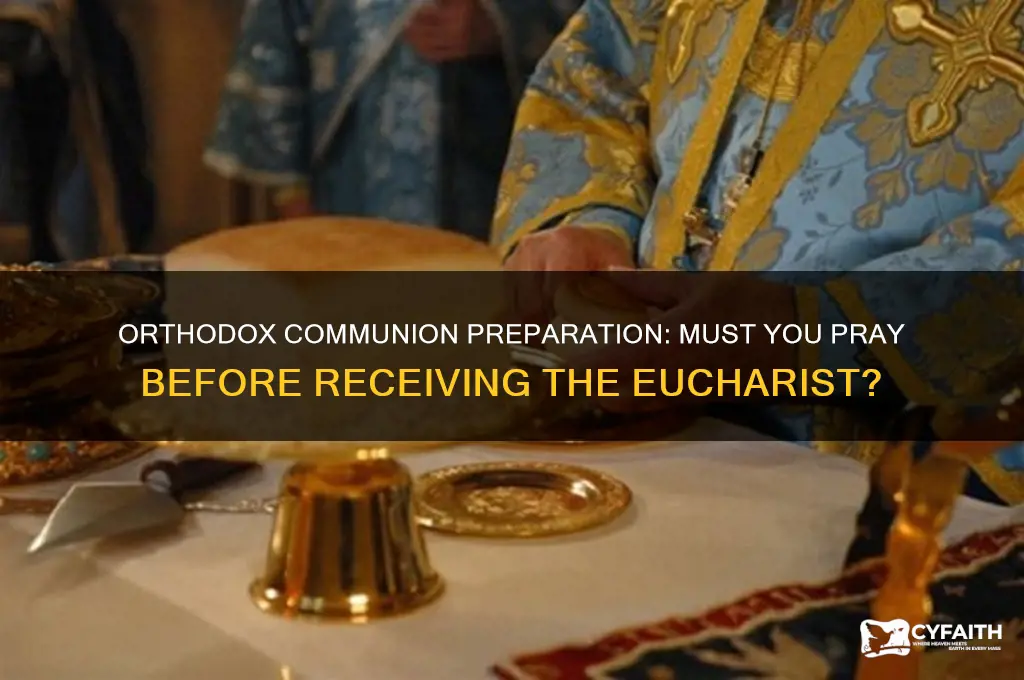 do i have to pray before communion orthodox