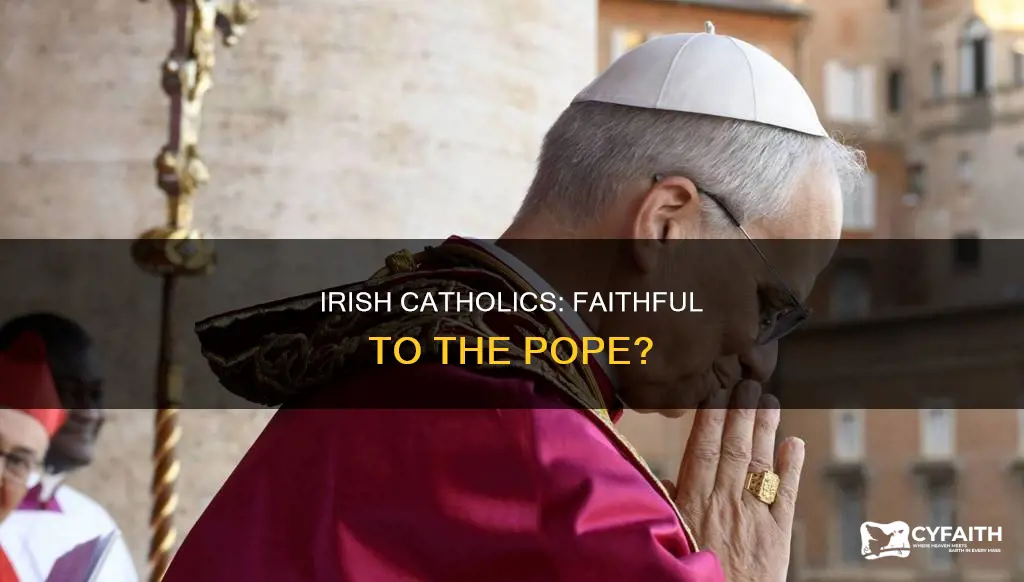 do irish catholics follow the pope