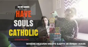 The Soul Status of IVF Babies in Catholicism