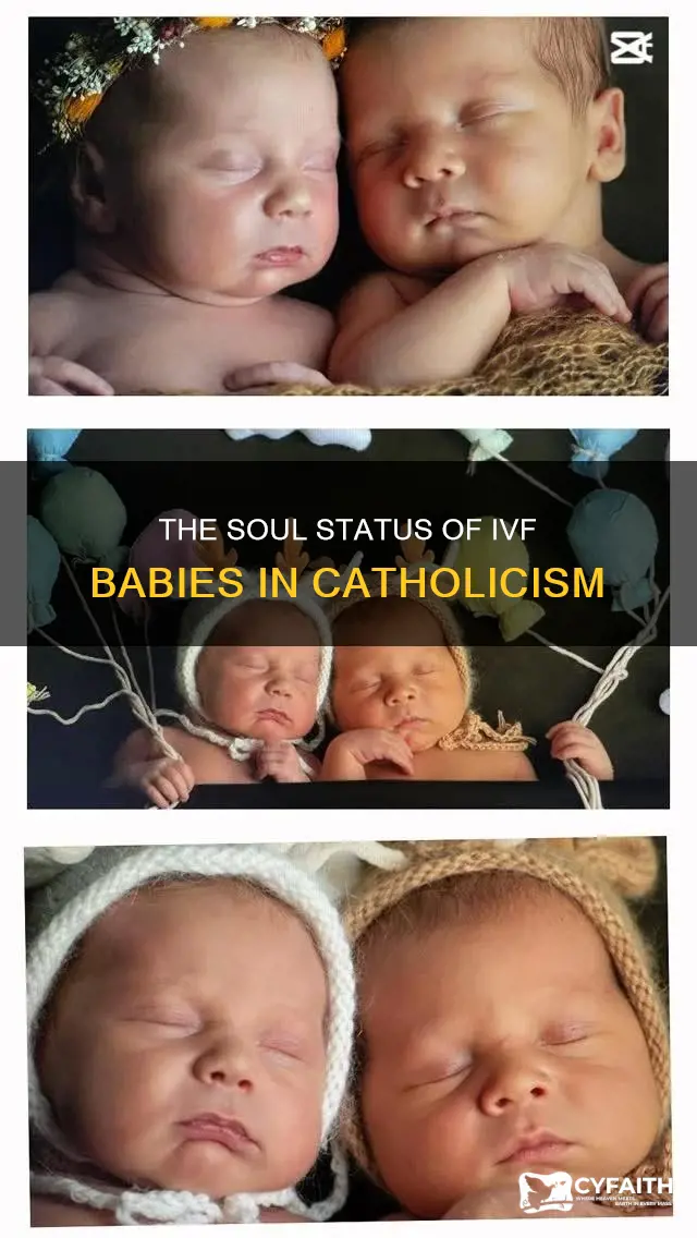 do ivf babies have souls catholic