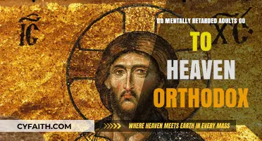 Orthodox Beliefs: Do Mentally Challenged Adults Enter Heaven?