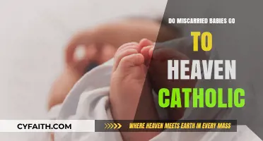 Where Do Miscarried Babies Go in Catholic Beliefs?