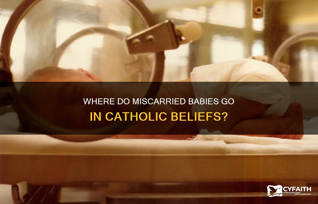 do miscarried babies go to heaven catholic